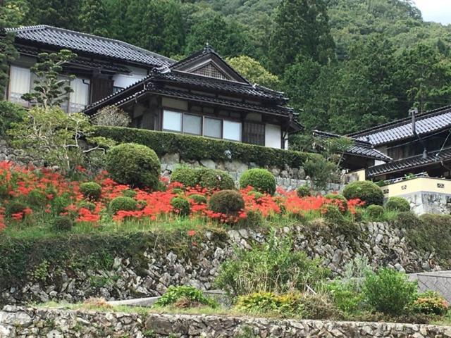 Japanese Style Inn Dohzen Miwa Niimi Exteriör bild